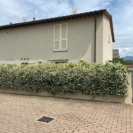Casa Ariel Villa Lucca Exterior photo