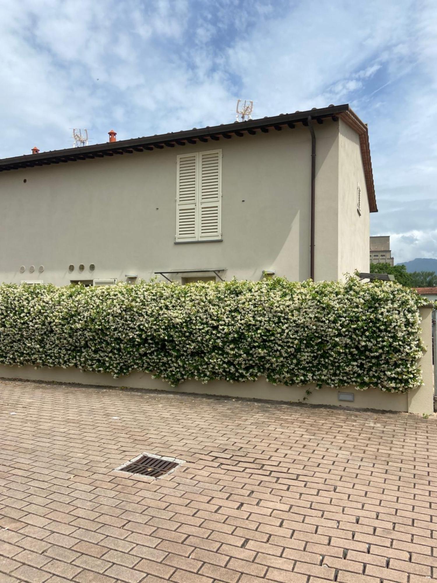 Casa Ariel Villa Lucca Exterior photo